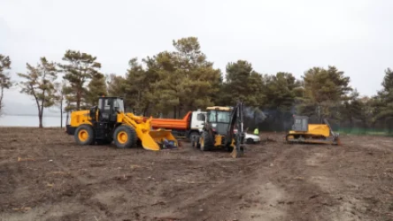 Ո՞ր օրեսնդրության համաձայն եք անտառը գենոցիդի ենթարկել. օգատերը ահազանգում է