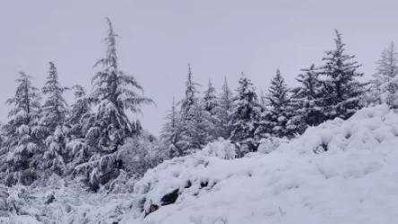 Սուրենյանը հրապարակել է ձնապատ Իջևանի լուսանկարը