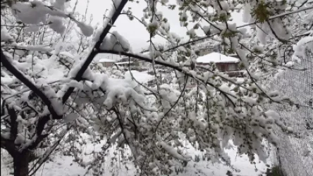 Մի շարք մարզերում գիշերը գրանցվել է զրոյից ցածր ջերմաստիճան. Աշոցքում՝ մինչեւ -10