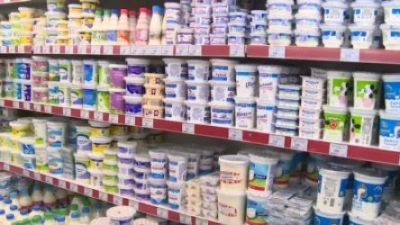 10 նմուշի կաթնաշոռից խախտումներ են հայտնաբերվել միայն երկուսում. ՍԱԱ