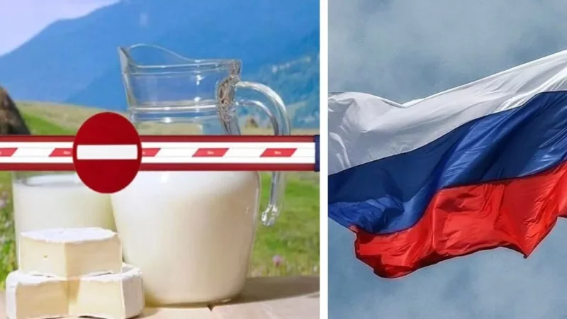 Russian Dairy Export Ban Could Cost Armenian Producers Millions
