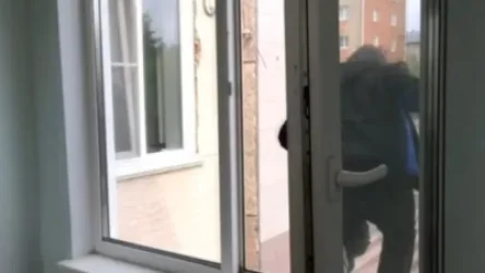 27-ամյա մայրը 9-րդ հարկի պատուհանից նետել է իր 3 երեխաներին. Ուզբեկստան