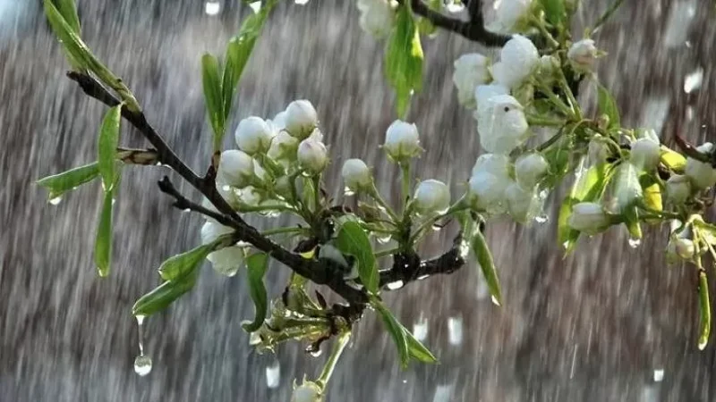 Տեղումներ կլինեն, օդի ջերմաստիճանն աստիճանաբար կնվազի