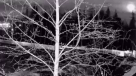 ՏԵՍԱՆՅՈՒԹ. Տեսախցիկները ֆիքսել են երկնաքարի անկումը. ՌԴ