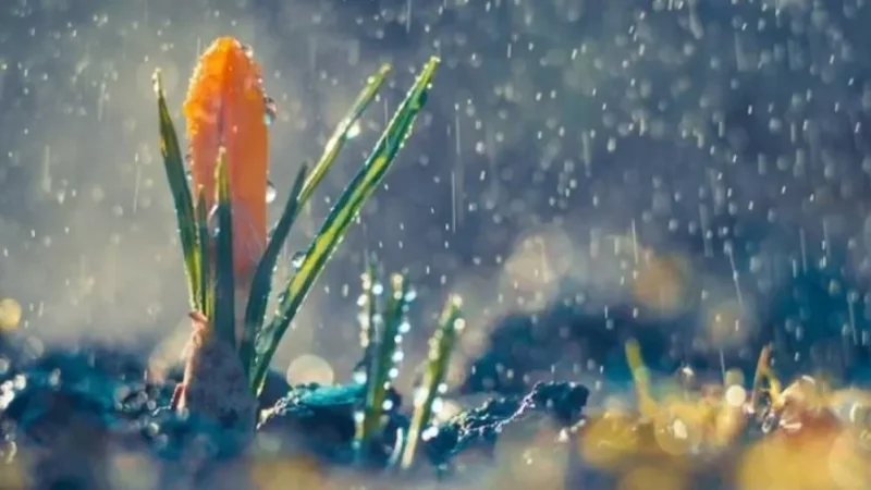 Ինչպիսի եղանակ է սպասվում առաջիկայում