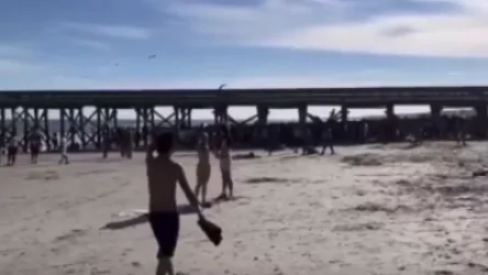 ՏԵՍԱՆՅՈՒԹ․ Անհայտ տղամարդը կրակ է բացել լողափում գտնվող մարդկանց վրա․ կան տուժածներ․ ԱՄՆ