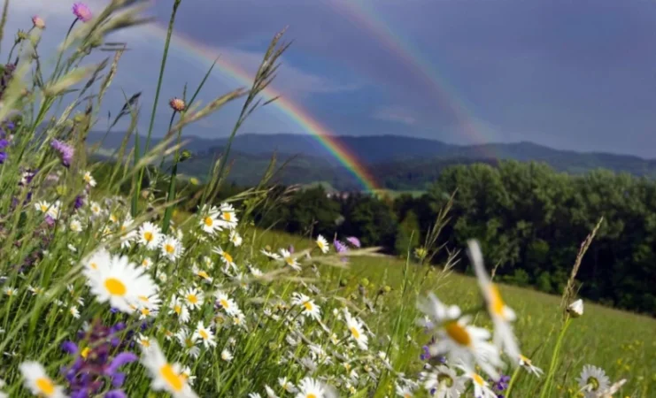 Ամառը մոտենում է. օդի ջերմաստիճանը կբարձրանա 10 աստիճանով