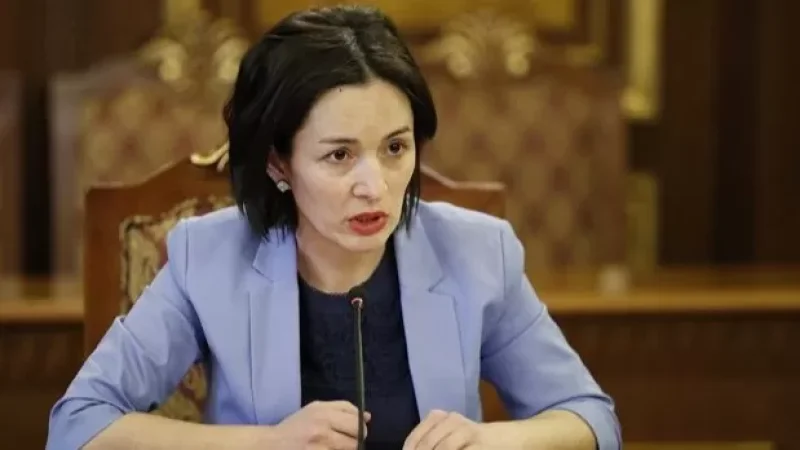 «Ցավում եմ, եթե որևէ մեկին արձագանքս կտրուկ կթվա». ԿԳՄՍ նախարար