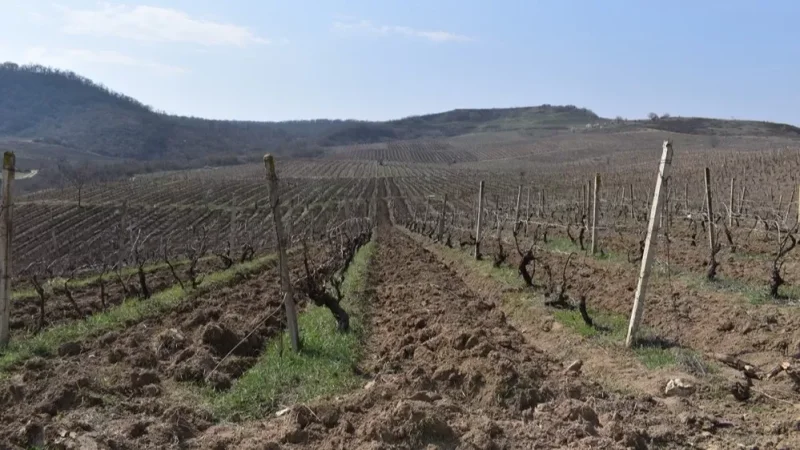 Արցախի Տեղեկատվական շտաբը հայտարարություն է տարածել