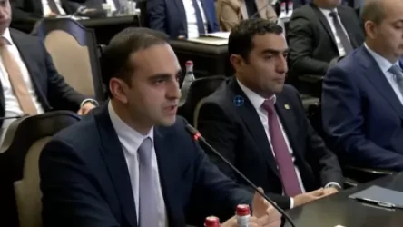 ՏԵՍԱՆՅՈՒԹ. Թամանյանական մոտիվներով կասկադ է կառուցվելու. Ավինյան