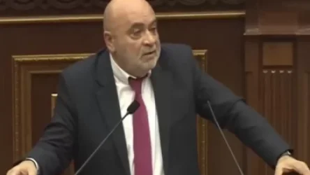 ՏԵՍԱՆՅՈՒԹ․ «2 տարի է՝ դրսում մի բլոգեր կա, որը հաչում է՝ վարկաբեկում է այն ամենն, ինչ ՀՀ-ում կա»․ ՀՌՀ նախագահ