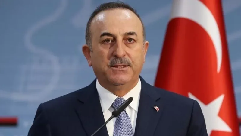 Չավուշօղլուն` Տեղ գյուղում տեղի ունեցած ադրբեջանական սադրանքի մասին