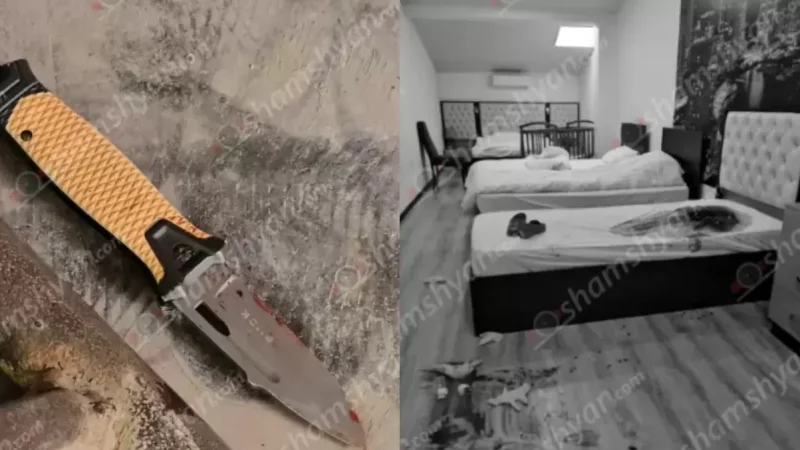 Որդին կտրել է մոր պարանոցը․ ինչ է հայտնի երևանյան հյուրանոցում տեղի ունեցած ահասարսուռ դեպքից․ ԶԼՄ