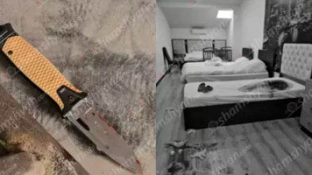 Որդին կտրել է մոր պարանոցը․ ինչ է հայտնի երևանյան հյուրանոցում տեղի ունեցած ահասարսուռ դեպքից․ ԶԼՄ