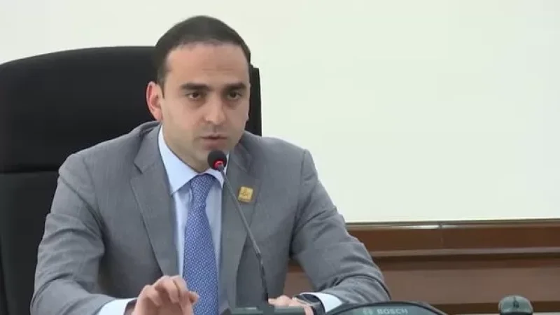 Անում եմ այն, ինչ պարտավոր եմ անել. Ավինյան