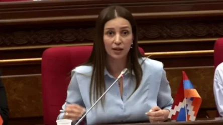 ՏԵՍԱՆՅՈՒԹ․ «Բա լավ, Ձեր կարմիր գիծը ո՞նց ա դրսևորվում, ի՞նչ եք անում, որ պահպանվի»․ Գրիգորյանը՝ Փաշինյան