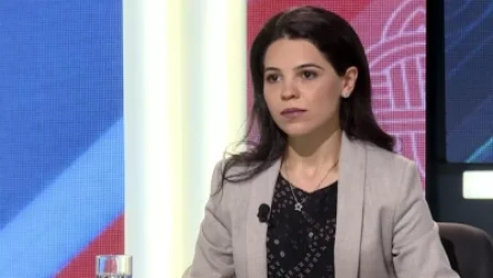 Արցախի հարցում ամեն մի զիջում ավելի խոցելի է դարձրել Հայաստանը․ ադրբեջանագետ