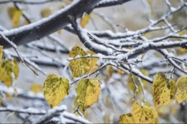 Եղանակը ՀՀ-ում