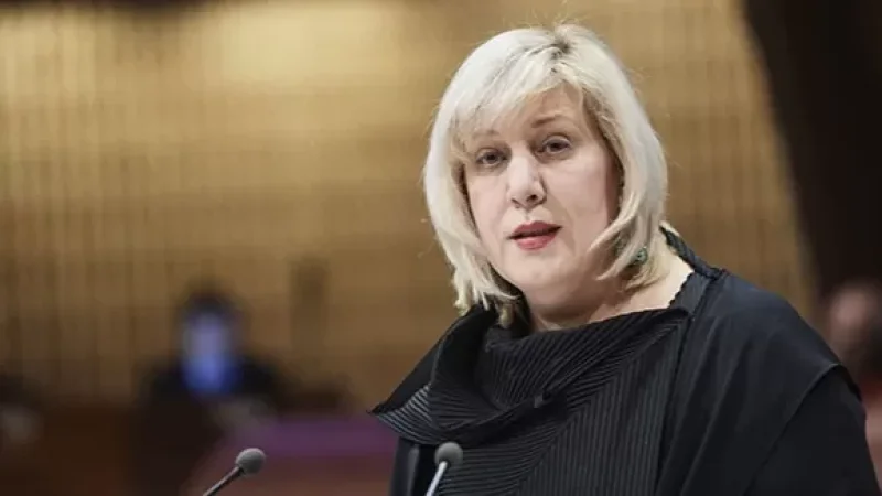 ԵԽ մարդու իրավունքների հանձնակատարի կոշտ պատասխանը՝ ադրբեջանցի պատվիրակին