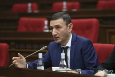 Թոշակառուների համար բարդ է լինելու հայատարարագիր լրացնելը․ միջոցներ կձեռնարկվեն․Թունյան