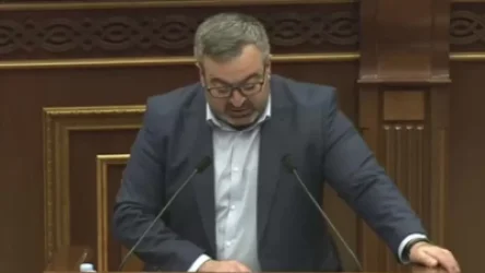 ՏԵՍԱՆՅՈՒԹ. Գառնիկ Դանիելյանը` Լարսում առաջացած խնդիրների, հեղուկ գազի դիֆիցիտի մասին