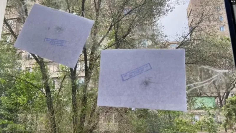 Կրակել էր կրթահամալիրի պատուհանների ապակիներին. 17-ամյա պատանին ձերբակալվել է