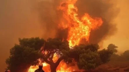 ՏԵՍԱՆՅՈՒԹ․ Կանադայում անտառային հրդեհների պատճառով հազարավոր մարդիկ տարհանվել են