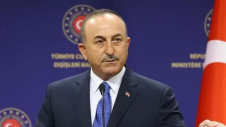  Թյուրքական ճանապարհն անցնում է Զանգեզուրով, Ղարաբաղով. Չավուշօղլու