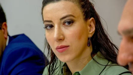 Հայաստանից «մոլորված զինծառայողներ» Ադրբեջանում չկան․ Սիրանուշ Սահակյան