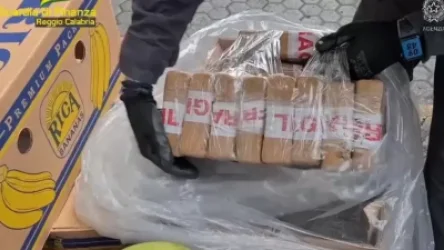 ՏԵՍԱՆՅՈՒԹ. Իտալիայում առգրավել են ավելի քան 2,7 տոննա կոկաին, որի վերջնակետը պետք է լիներ Հայաստանը