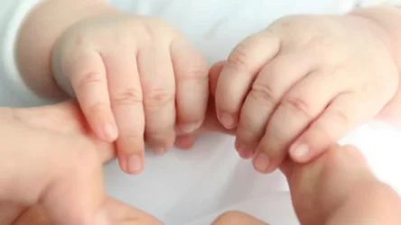 Ընտանիքում նոր ծնված երրորդ և հաջորդ երեխաների թիվն աճել է