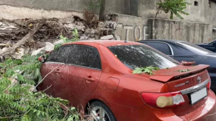 Ուժեղ քամու հետևանքով ծառը շրջվել է ավտոմեքենաների վրա` վնասելով նաև հարակից շինության պատը