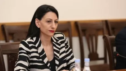 ՄԻՊ-ը հայտարարություն է տարածել Գայանե Հակոբյանին կալանավորելու դեպքի առնչությամբ