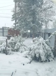 ՌԴ-ում սաստիկ ձյուն ու անձրև է