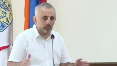 ՏԵՍԱՆՅՈՒԹ. Մենք ունենք այն խոլերան, ինչը մենք մի քանի օր է շնչում ենք. ավագանու անդամ