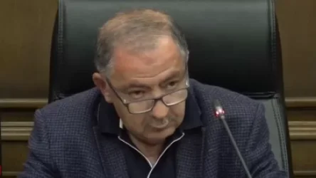 ՏԵՍԱՆՅՈՒԹ. Ալիևից կադաստրի վկայական մուրողը պետք է հեռանա. Վարդանյան