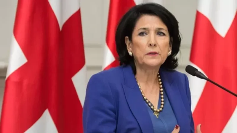 Ինչու որևէ միջոց և իրավական կարգավորում չի սահմանվել Վրաստան ժամանած ռուսների համար. Զուրաբիշվիլի