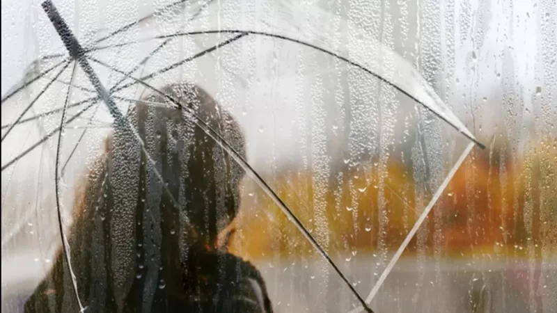 Անձրև, ամպրոպ, կարկուտ. եղանակի տեսություն