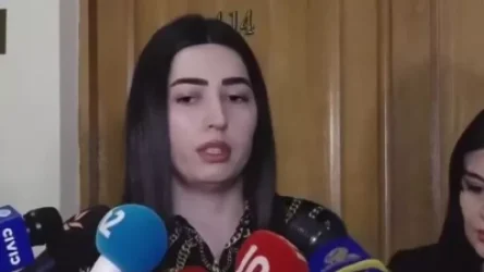 ՏԵՍԱՆՅՈՒԹ. ՆԳՆ  փոխնախարարը՝ մգեցված ապակիների համար տուգանք նախատեսող որոշման մասին