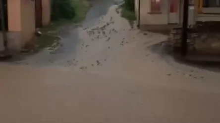 ՏԵՍԱՆՅՈՒԹ․ Մարտակերտում հեղեղումներ են