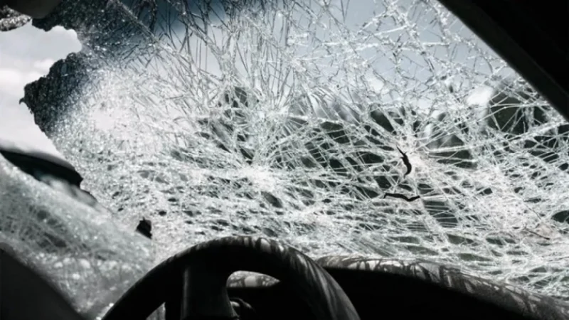 Երևանում շան վրաերթի շուրջ վեճն ավարտվել է կնոջ մահով, իսկ երեխան հիվանդանոցում է