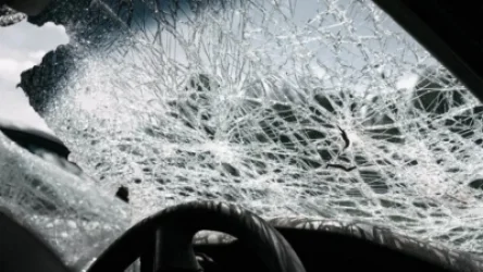 Երևանում շան վրաերթի շուրջ վեճն ավարտվել է կնոջ մահով, իսկ երեխան հիվանդանոցում է