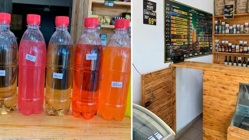 Ուլյանովսկում դատարանը բանտ է ուղարկել 30 մարդու մահվան պատճառ դարձած թունավոր խնձորօղու արտադրողին