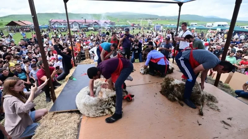 Photos: Vahan Kerobyan Participates in Sheep Shearing Festival