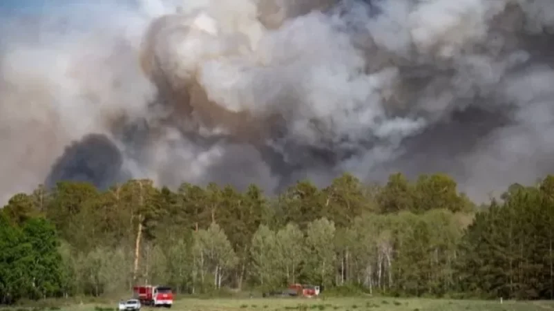 ՀՀ ԱԳՆ-ն անդրադարձել է Ղազախստանում մոլեգնող անտառային հրդեհներին