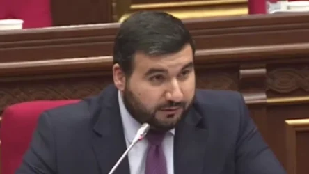 ՏԵՍԱՆՅՈՒԹ. «Ժողովրդին ոչխար եք անվանել, չեք կարող ընտրվել ԱԺ-ի կողմից». Ալեքսանյանը՝ ՄՊՀ թեկնածուին