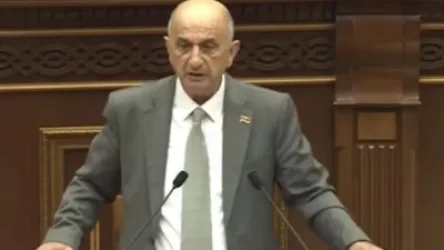 ՏԵՍԱՆՅՈՒԹ. «Էդ աղջիկը երևի հավանոցում է դաստիարակվել». ՔՊ–ականը վիրավորել է ընդդիմադիր կին պատգամավորին