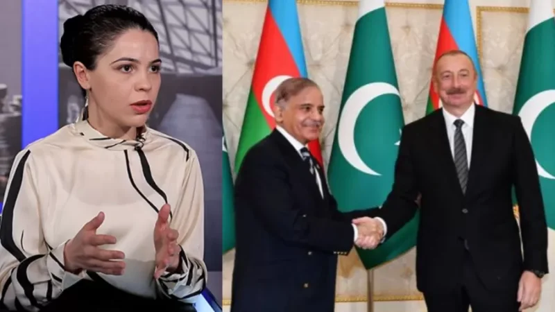 «Հնչող ուղերձները թիրախավորում էին Հայաստանն ու Հնդկաստանը». ադրբեջանագետի վերլուծությունը