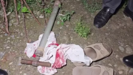 ՏԵՍԱՆՅՈՒԹ. Շենավանում տղամարդը դանակահարել է որդուն, մորը, ծեծել կնոջը, վերջինս էլ սպանել է նրան