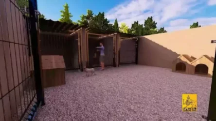 ՏԵՍԱՆՅՈՒԹ․ Երևանում թափառող կենդանիների մշտական խնամքի կացարան կկառուցվի․ քաղաքապետարան